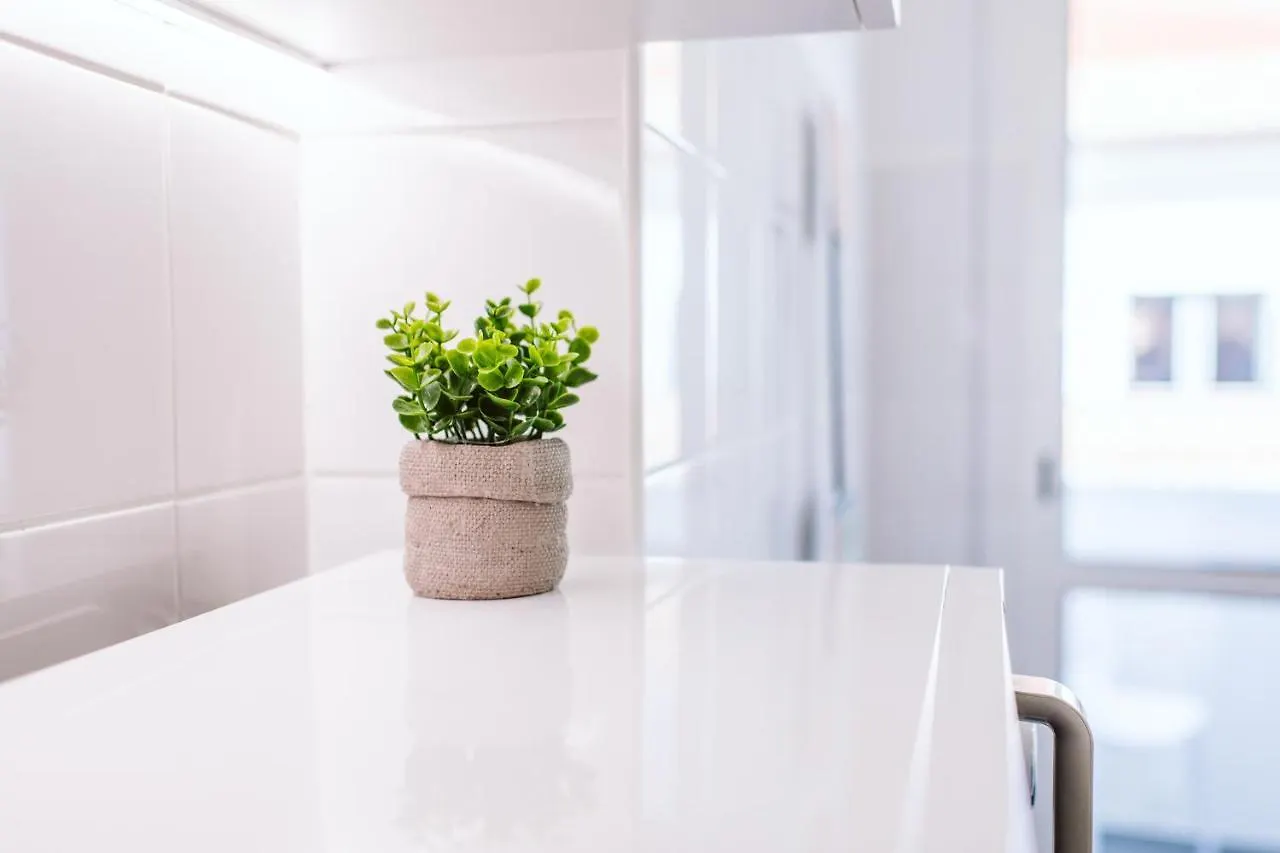The Millennial Lifestyle Apartment Funchal  Portugal